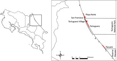 Quantifying Illegal Extraction of Sea Turtles in Costa Rica